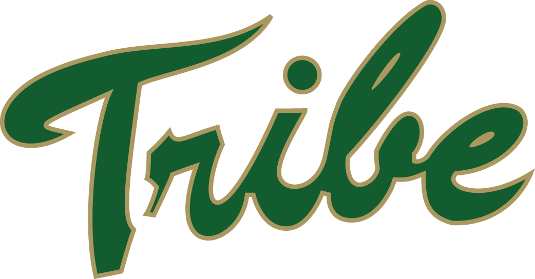 William and Mary Tribe logos iron-ons